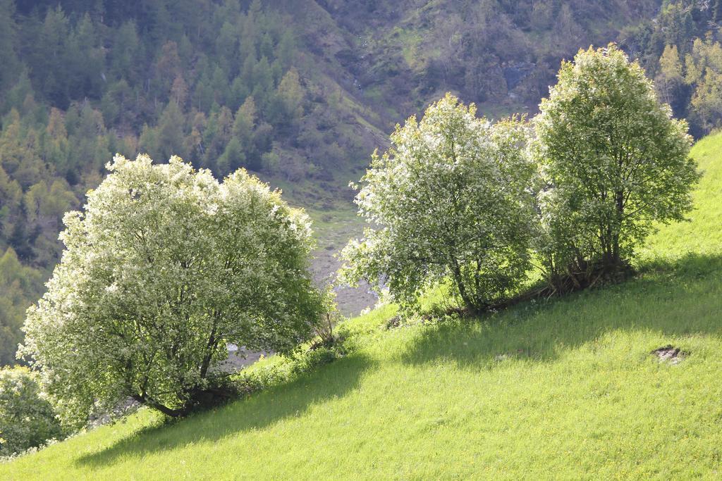 Apart Gletscherblick 카우넬탈 외부 사진